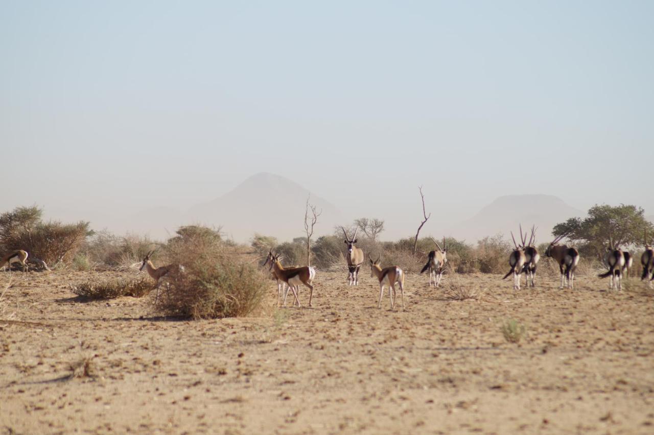 ホテル Camp Gecko - Private Nature Reserve; Tented Camp And Campsite ソリティア エクステリア 写真