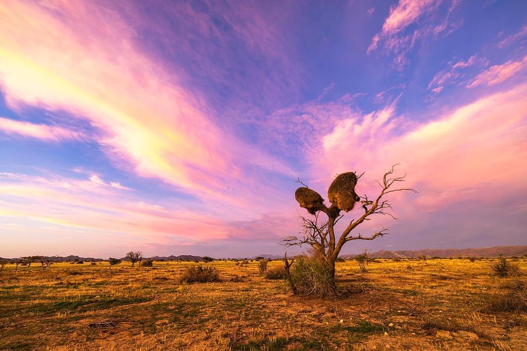 ホテル Camp Gecko - Private Nature Reserve; Tented Camp And Campsite ソリティア エクステリア 写真