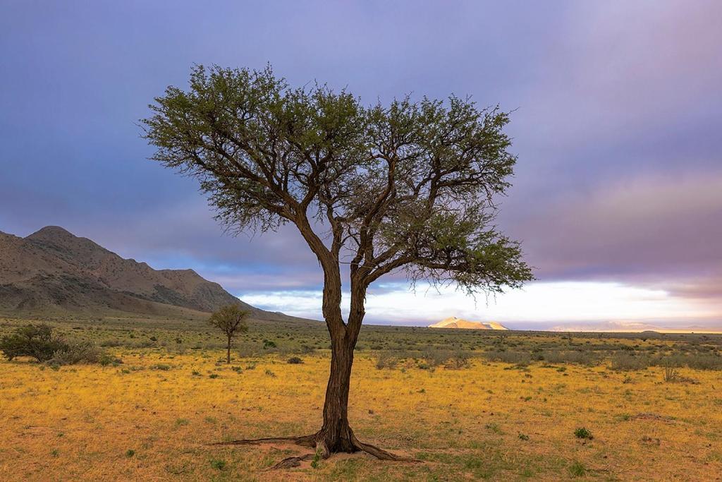 ホテル Camp Gecko - Private Nature Reserve; Tented Camp And Campsite ソリティア エクステリア 写真