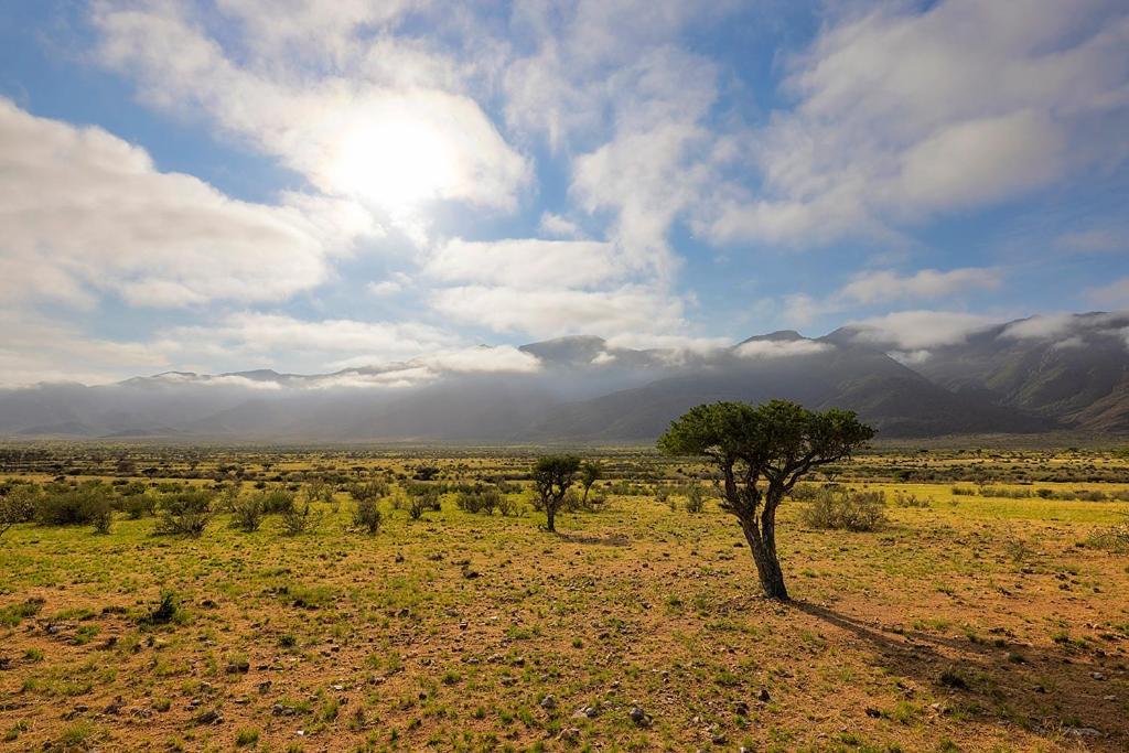 ホテル Camp Gecko - Private Nature Reserve; Tented Camp And Campsite ソリティア エクステリア 写真