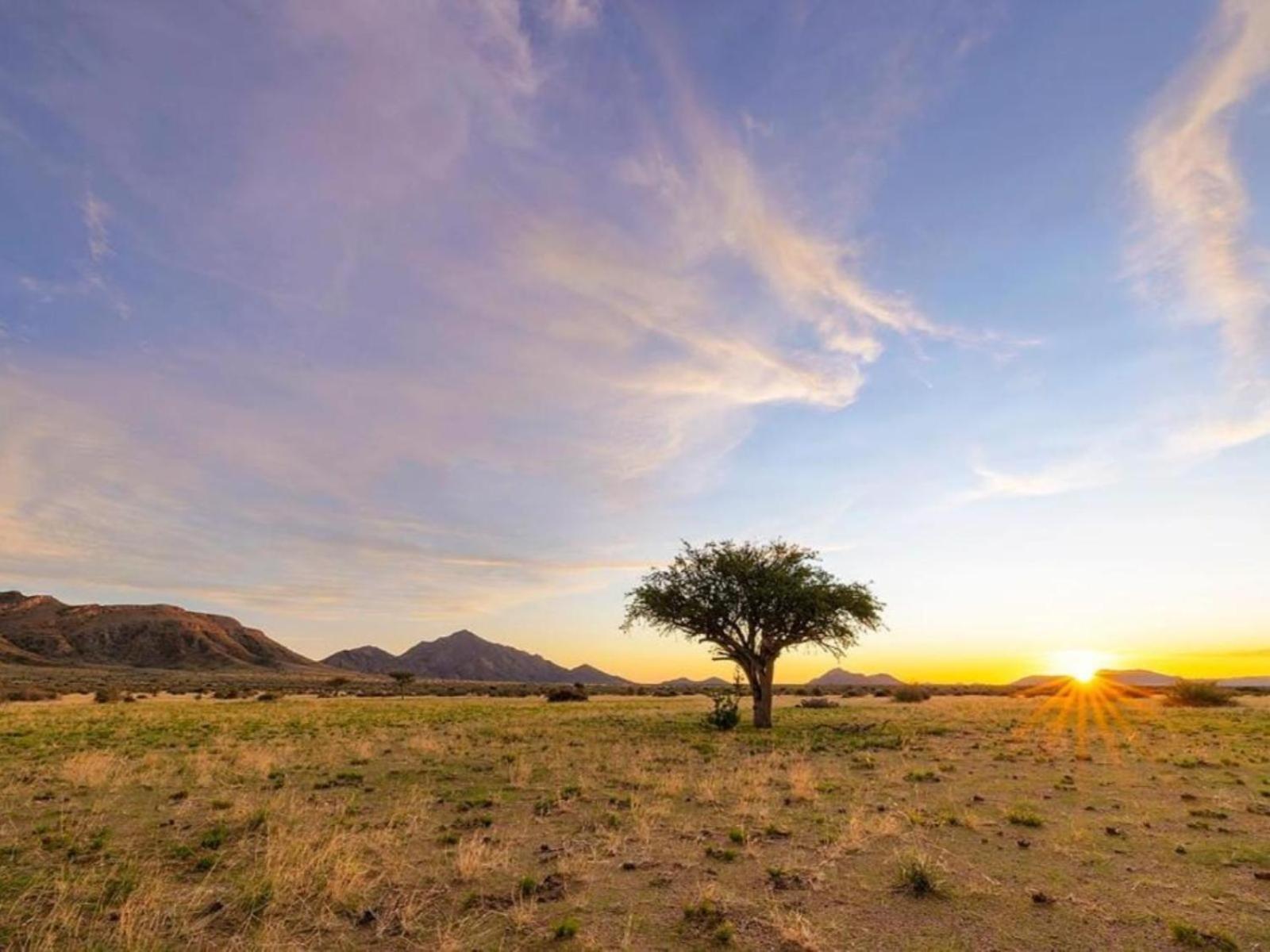 ホテル Camp Gecko - Private Nature Reserve; Tented Camp And Campsite ソリティア エクステリア 写真